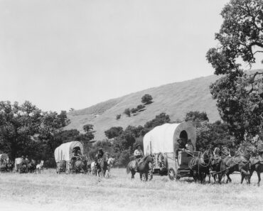 How The Survivalism Movement Started