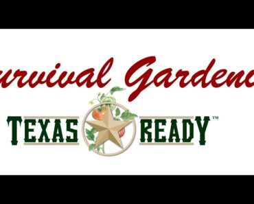 Survival Gardening