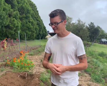 Tips for Starting a Survival Garden