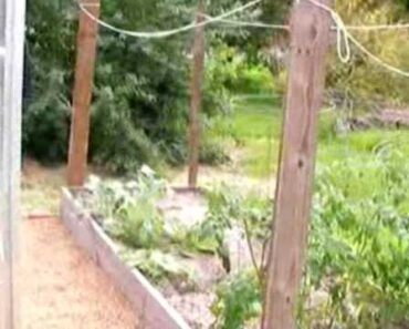 Urban Garden – Greenhouse Texas Prepper