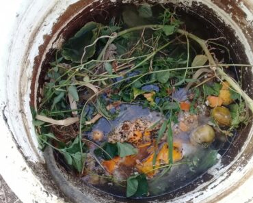 Making Free Garden Fertilizer (Survival Gardener Minute #026)