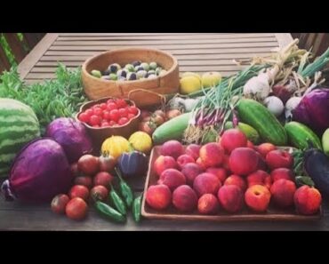 10 foods we're growing can help in a food shortage – survival gardening situation – low maintenance