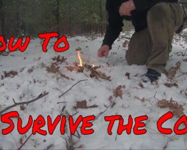 HOW TO SURVIVE OUTSIDE IN WINTER. PT 1. The Forest
