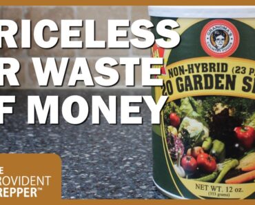 Seed Germination Results: Can You Depend on Survival Seed Vaults?