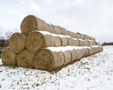 How Our Farming Ancestors Made Use of Their Winters