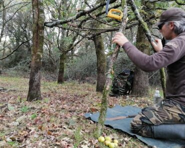 Minimal survival shelter overnight Marshes essential food to survive