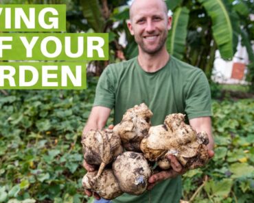 13+ Survival Gardening Crops To Grow To Live Off Your Garden