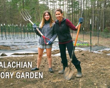 Appalachian Victory Garden: Getting Started