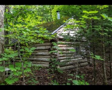 How to Build an Off Grid Log Cabin: For FREE!