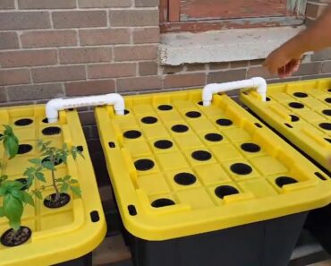 Small aquaponics build Time of the end prepper