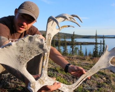 Left Alone to Survive on an Island in the NorthWest Territories (Remote Canada)