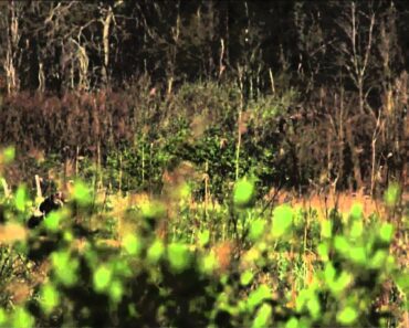 Reaper Outdoors Survive the Hunt – Pennsylvania Turkey Hunt