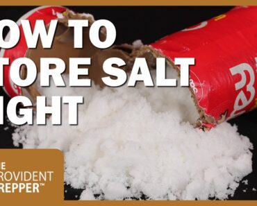 Salt: Why It Is Essential and How to Store It Right