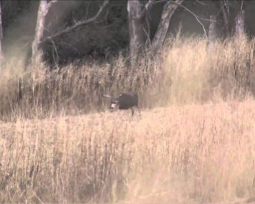 Reaper Outdoors Survive the Hunt – Operation Sandhusker