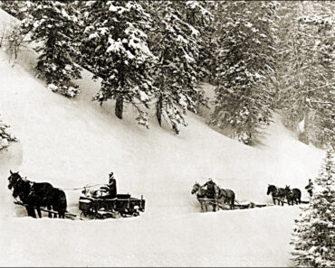 Motive Power without Cars. What to Use
