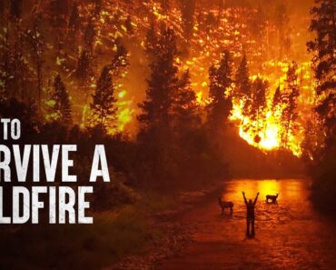 How to Survive a Wildfire
