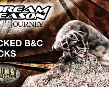 Locked B&C Bucks Struggle to Survive – Dream Season:The Journey