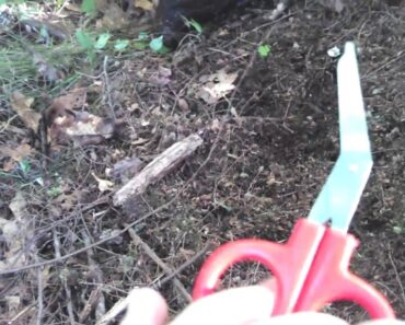 How to survive in the outdoors part #2 : first aid