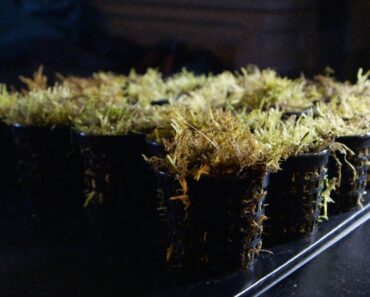 How a Survivalist Grows Food | Life Below Zero | Earth Unplugged