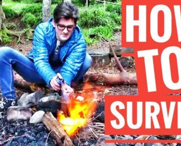 How to Survive in The Wild – With Logan and Sol