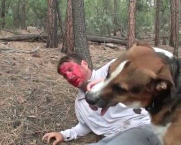Survive the Great Outdoors