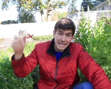 Top 10 Cold Hardy Fall & Winter Crops to Grow In Your Garden + Reasons Why