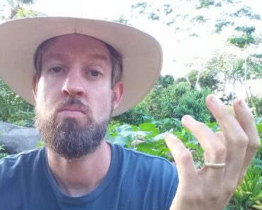 Why I Do NOT Deep Mulch My Gardens (Survival Gardener Minute #015)