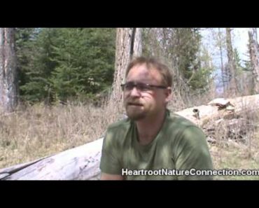 How Can Primitive Living Skills Help Me Survive?