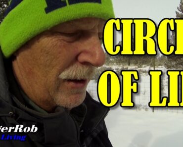 Learning The Circle Of Life, Homestead Living | Rangerrob Country Living