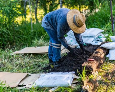 Survival Garden: How to Endure an Economic Collapse