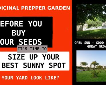 #2 Medicinal Prepper Garden –  SIZE IT UP DO YOU HAVE THE ROOM THAT SR2SR-PREPPER SUGGESTS ?