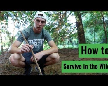 How to Survive in the Wilderness || Man vs Wild Parody
