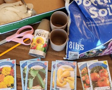 Seed planting time! My quest to develop a green thumb! new prepper pantry skill development.