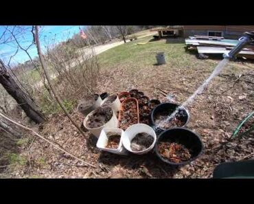 prepper garden getting my pIanters ready for the season