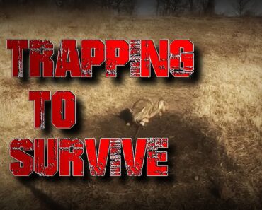 Trapping To Survive: Long Term