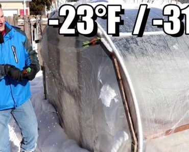 How Our Winter Garden Survived -23°F (-31°C) With No Heat