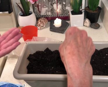 Practical Prepper-Plant a Garden-Do It Today