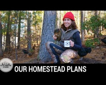 The Dirt: We Answer Questions About Our Off-Grid Homestead Plans