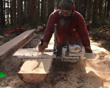 Trees to lumber | Making raised beds with Alaska chainsaw mill | Survival Garden I Part I