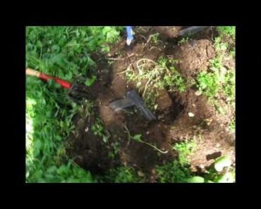 Amateur Prepper First Attempt On A Victory Garden