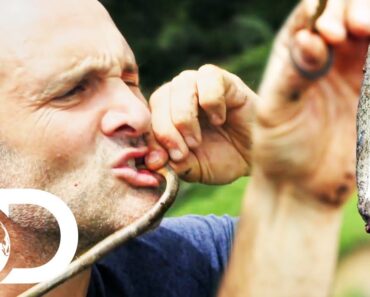 Ed Eats A Raw Snake To Survive In The Himalayan Wilderness | Ed Stafford: First Man Out