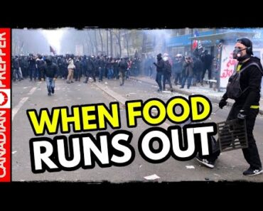 The Coming Food Crisis: Prepare While you Can