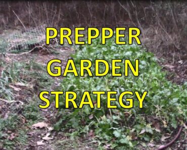 Prepper Gardening Strategy – Avoid Getting Raided