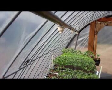 Greenhouse Misting System
