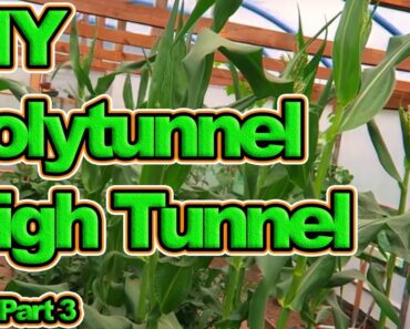 How To Build A Cheap DIY / Home Made Polytunnel, Greenhouse, High Tunnel. Part 3