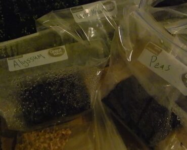 2017 FOOD PREPPER SHTF SURVIVAL SEED GROWING STARTING FLOWERS INDOORS