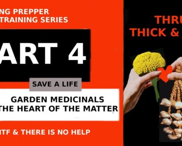 BEGINNING PREPPER INITIAL TRAINING SERIES PT 4 – Learn about garden medicinals from SR2SR-PREPPER