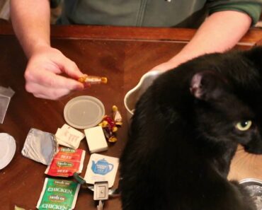 MPI Outdoors: You Can Survive, Survival Kit in a Can