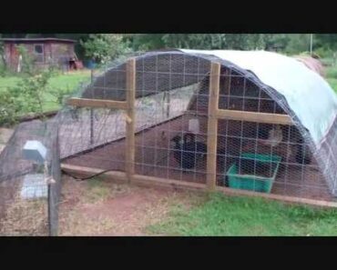 Texas Prepper's Greenhouse