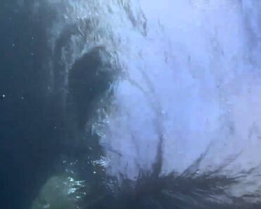 Would You Know How to Survive a Whirlpool?